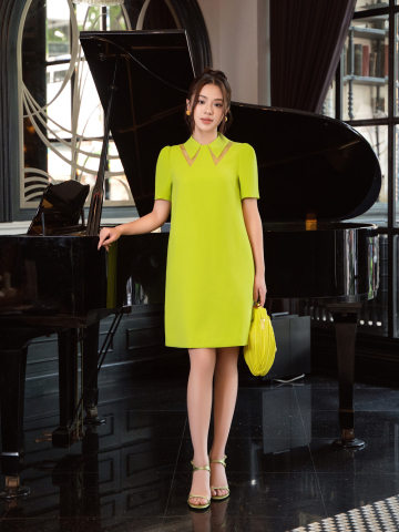 IRIS DRESS